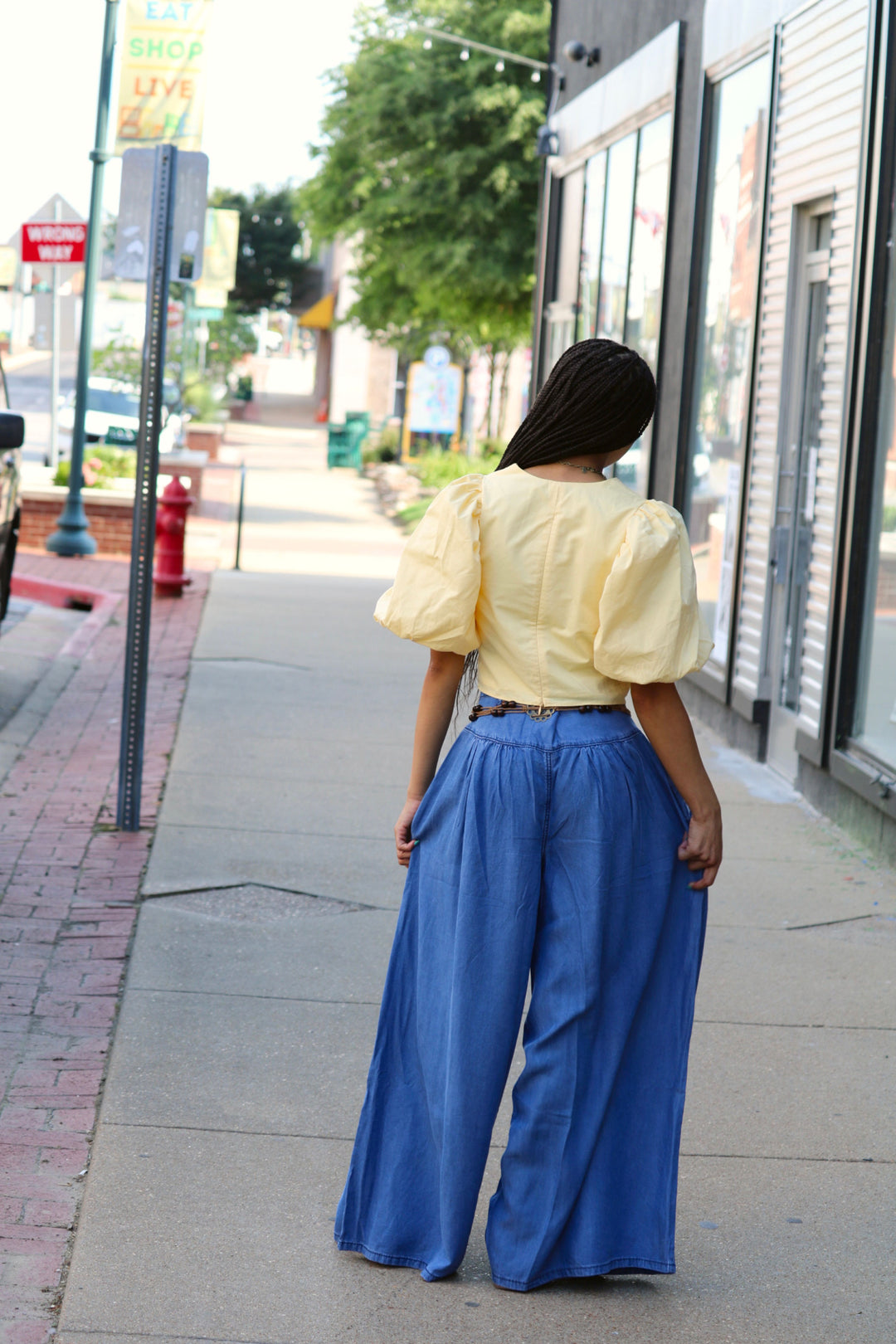Exaggerated Sleeve Crop Top